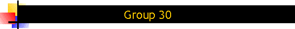 Group 30